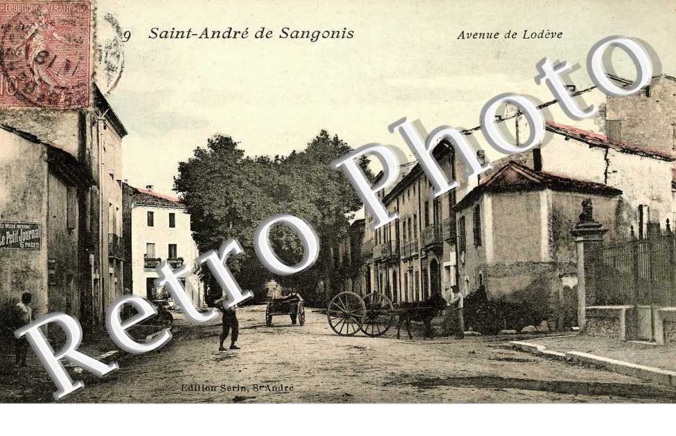 Avenue de Lodeve