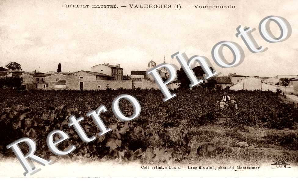 Vue generale