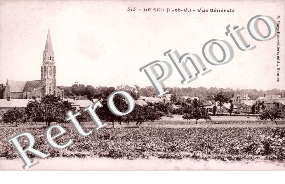 Vue générale