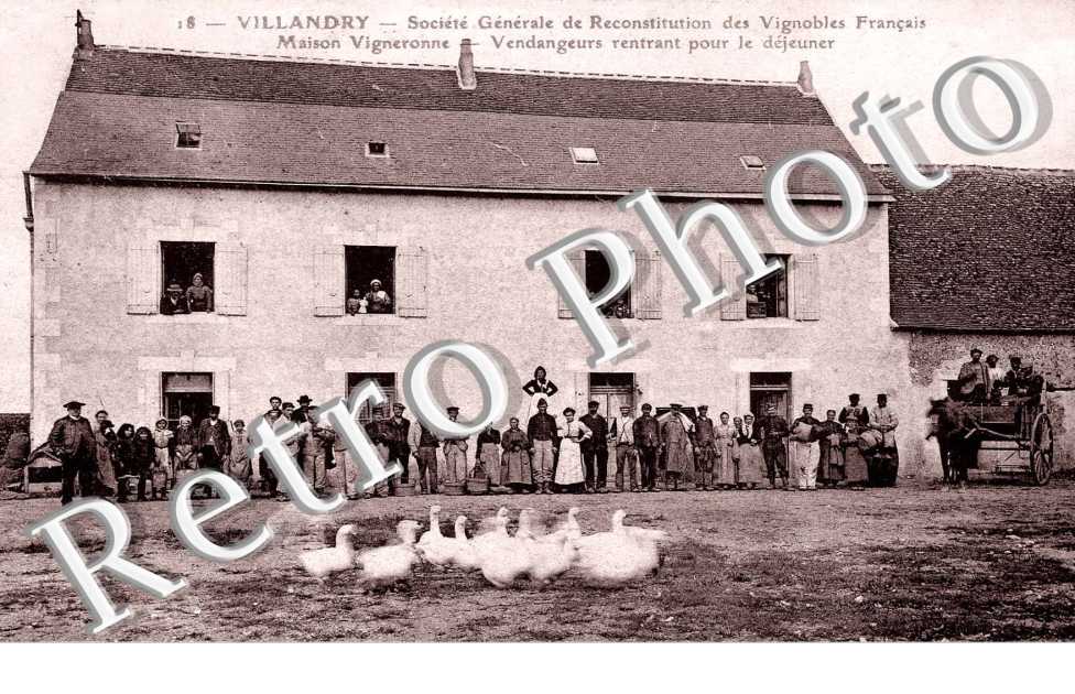 Maison vigneronne - vendangeurs rentrant pour le dejeuner