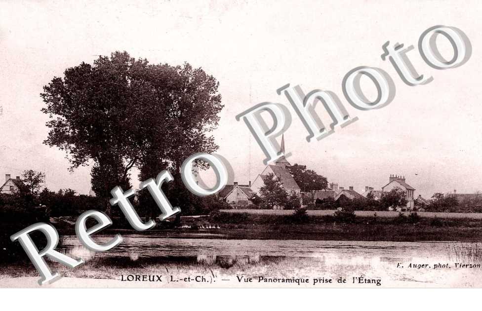 vue panoramique prise de l'étang