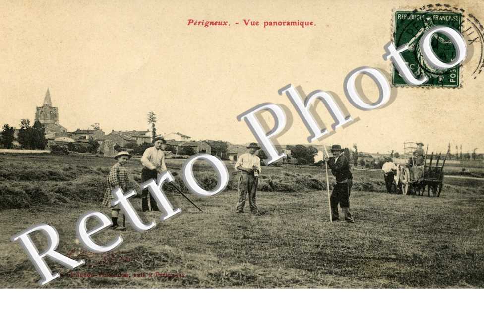 vue panoramique