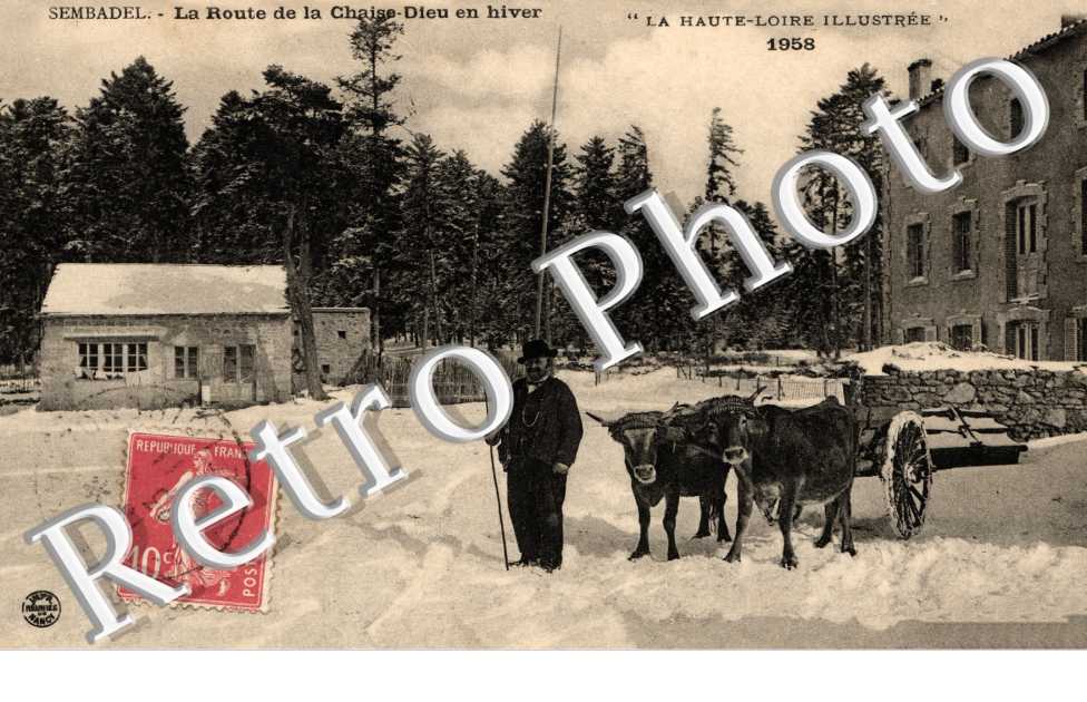 Scierie et Bois Noir