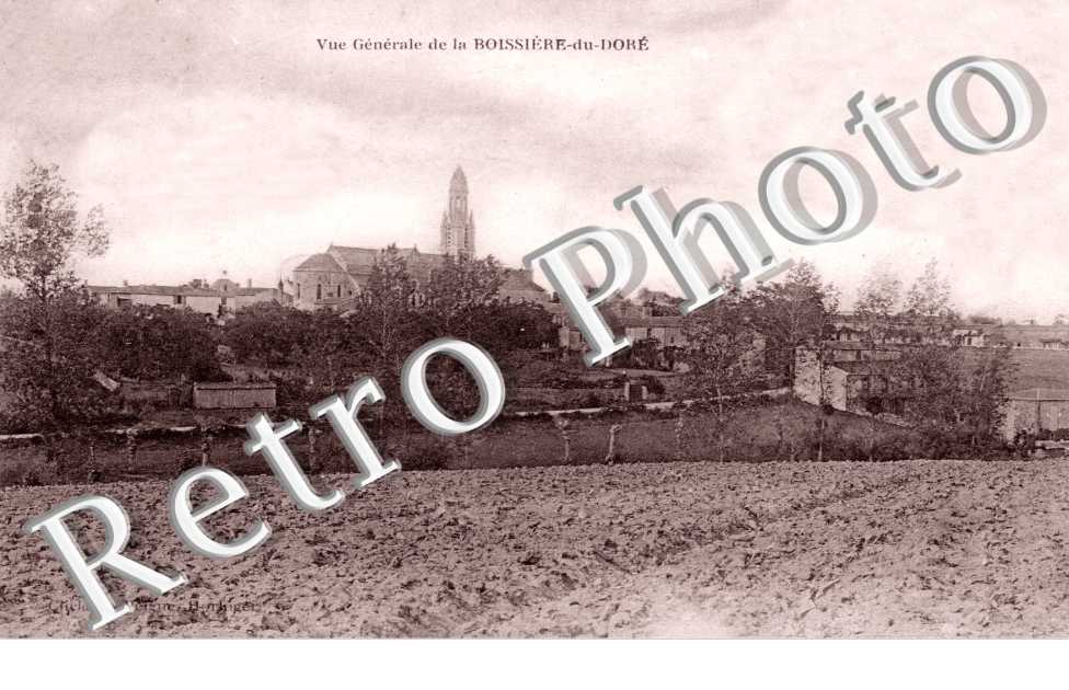 Vue Générale