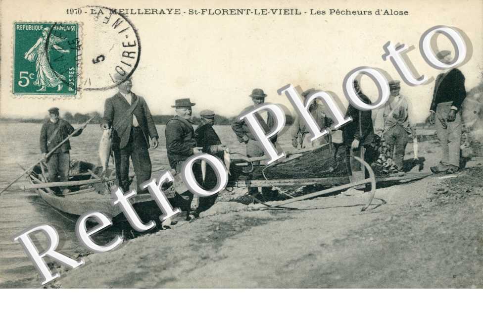 La Meilleraye  -  Saint Florent le Vieil  - Les pecheurs d'Alose