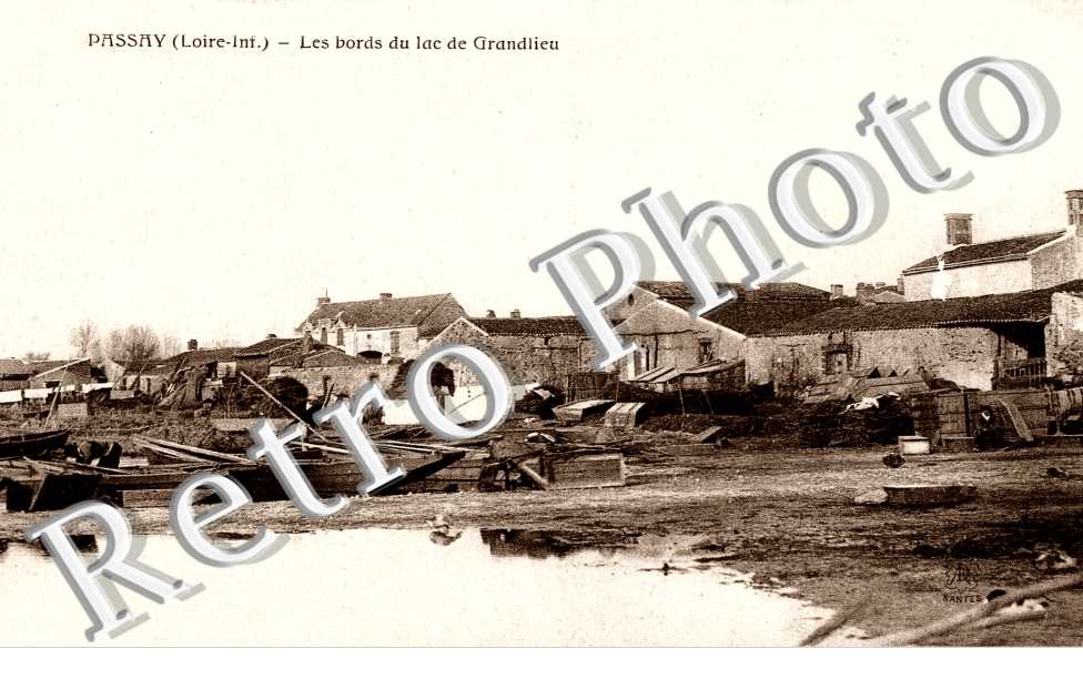 Les bords du lac de Grandlieu