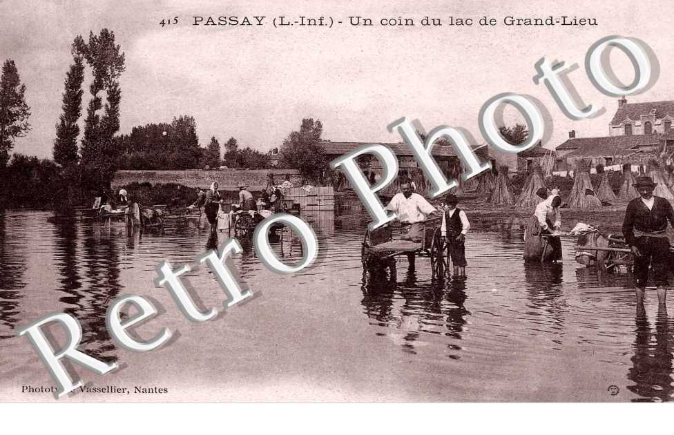Un coin du lac de Grand Lieu