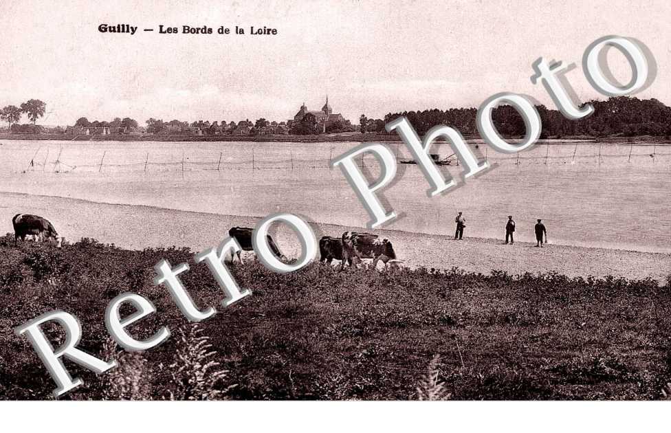 les bords de la Loire