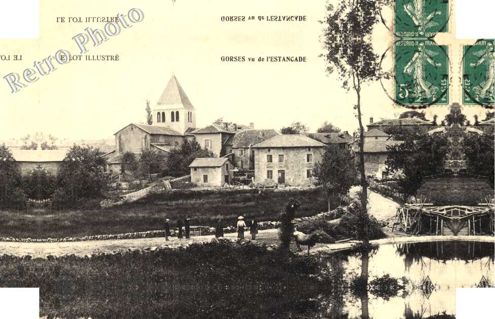 Gorses vu de l'Estancade