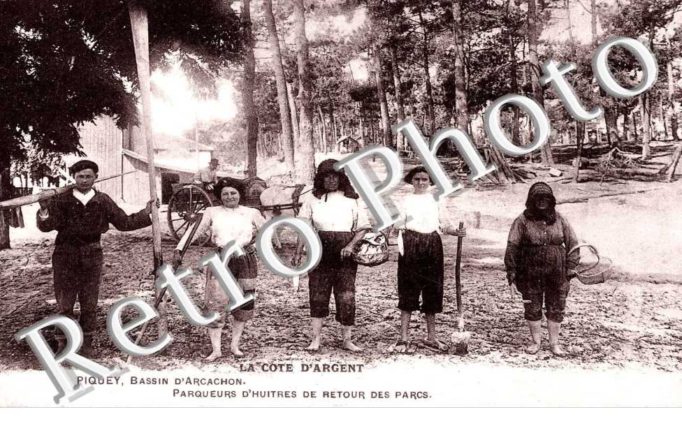 Piquey - parqueurs d'huitres de retour des parcs