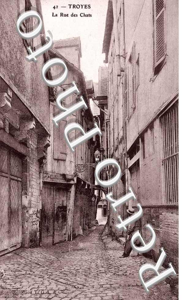LA RUE DES CHATS