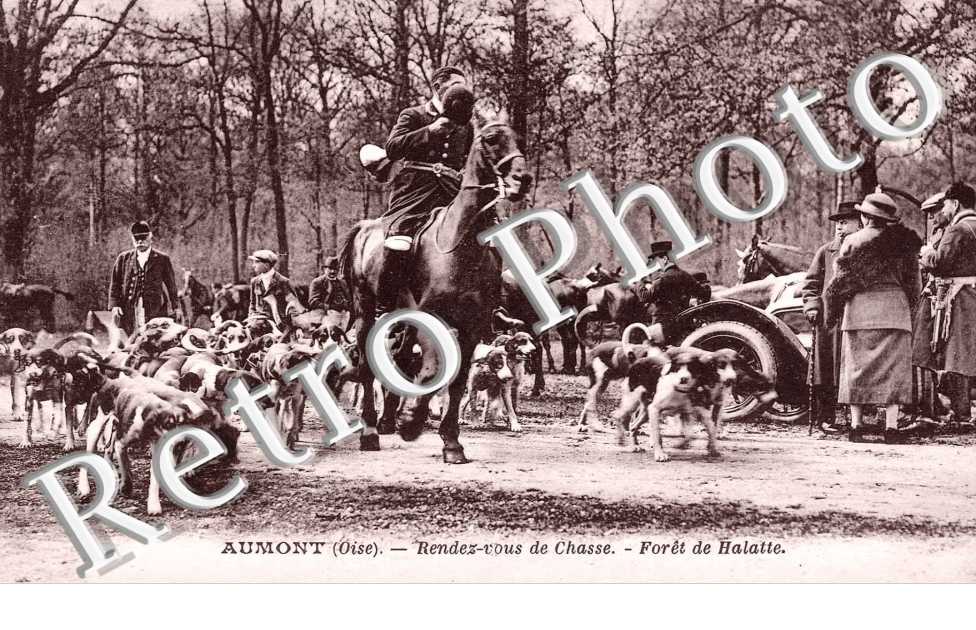 Rendez-vous de chasse - Foret de Halatte