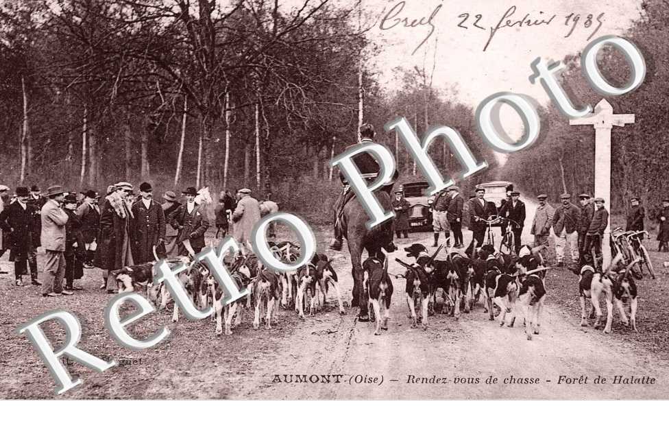 Rendez-vous de chasse - foret de Halatte