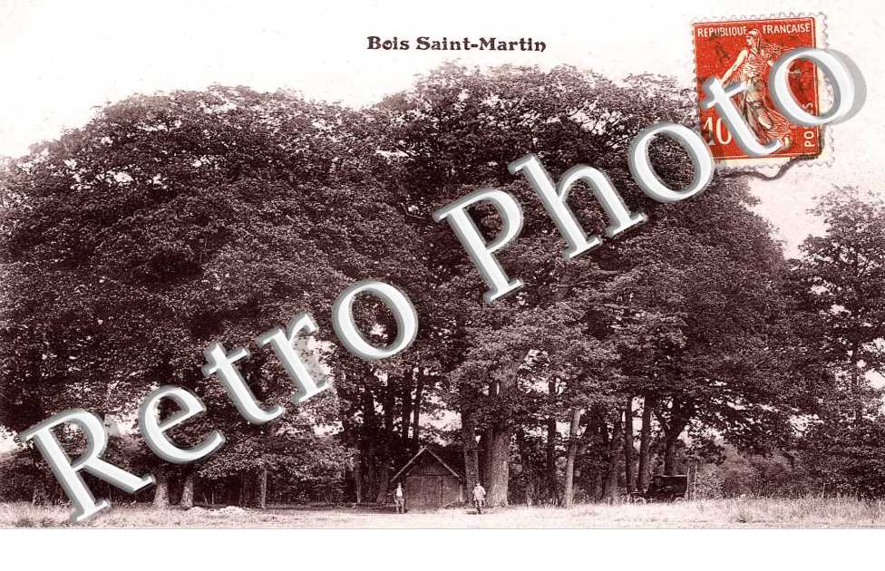 Bois St-Martin
