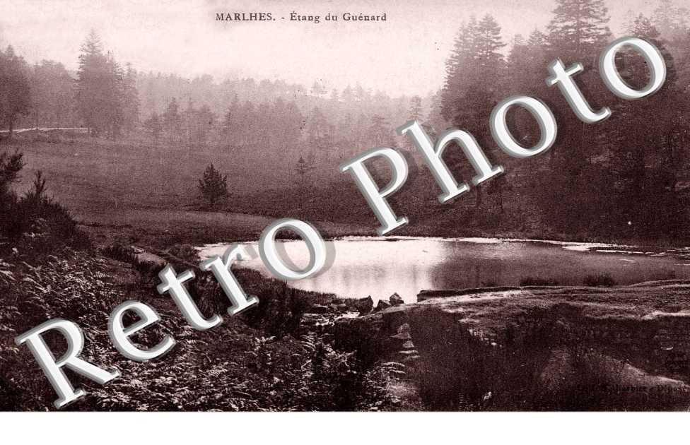 Etang du Guenard