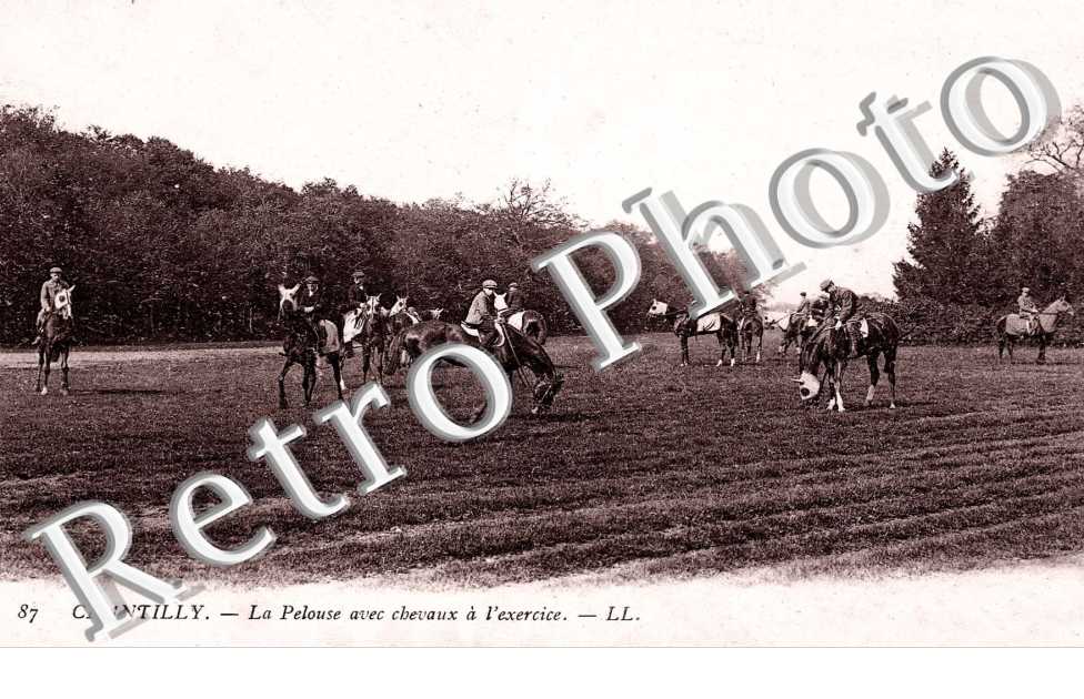 LA PELOUSE avec cheavux a l'exercie