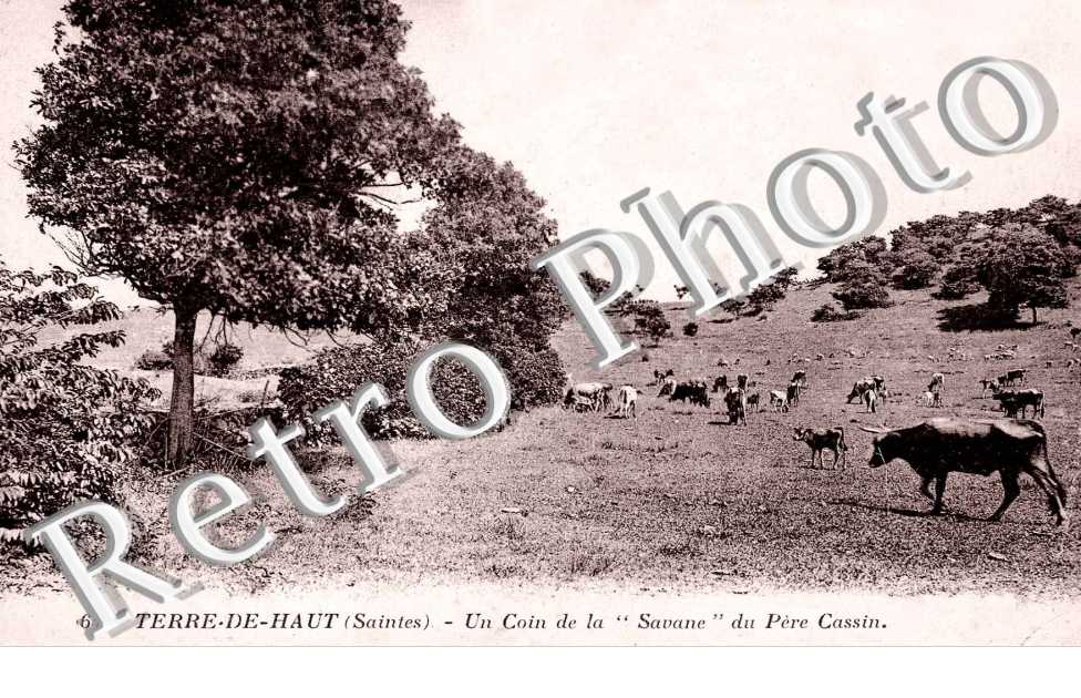 Un coin de la Savane du Père cassin