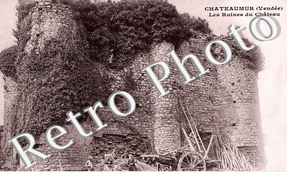Les Ruines du Chateau
