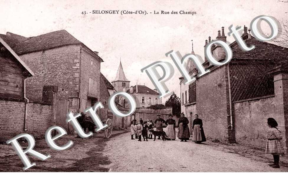 la rue des champs