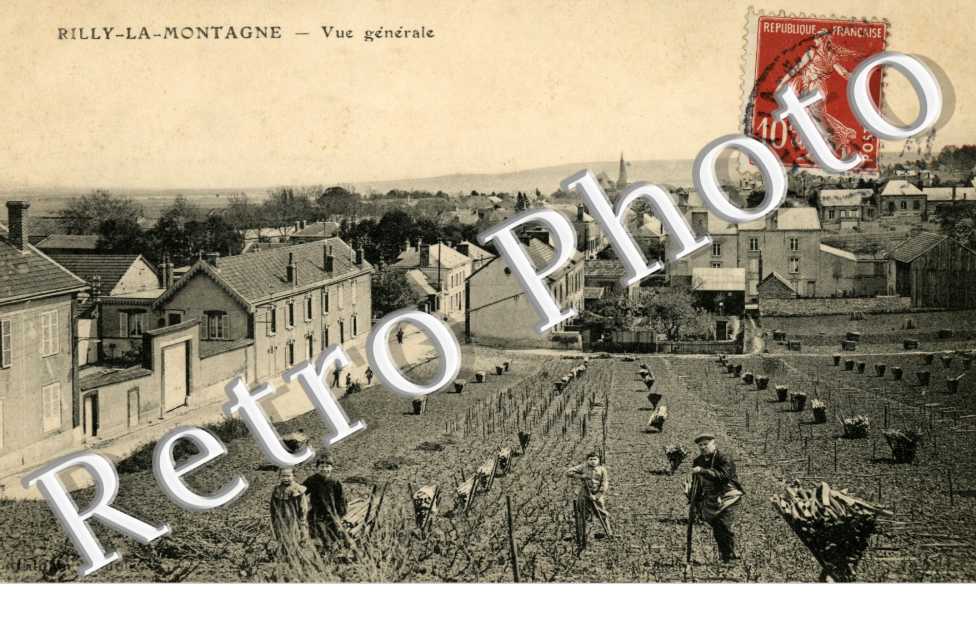 vue generale