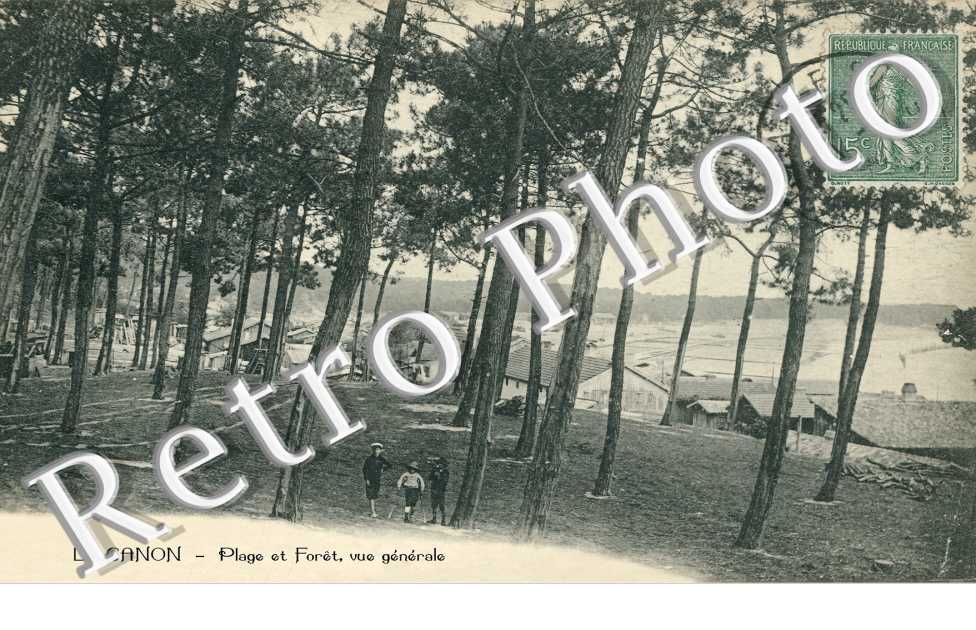 LE CANON  -  Plage et foret - vue generale