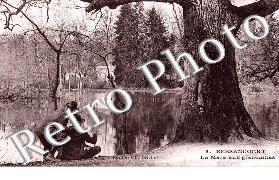 La mare aux grenouilles