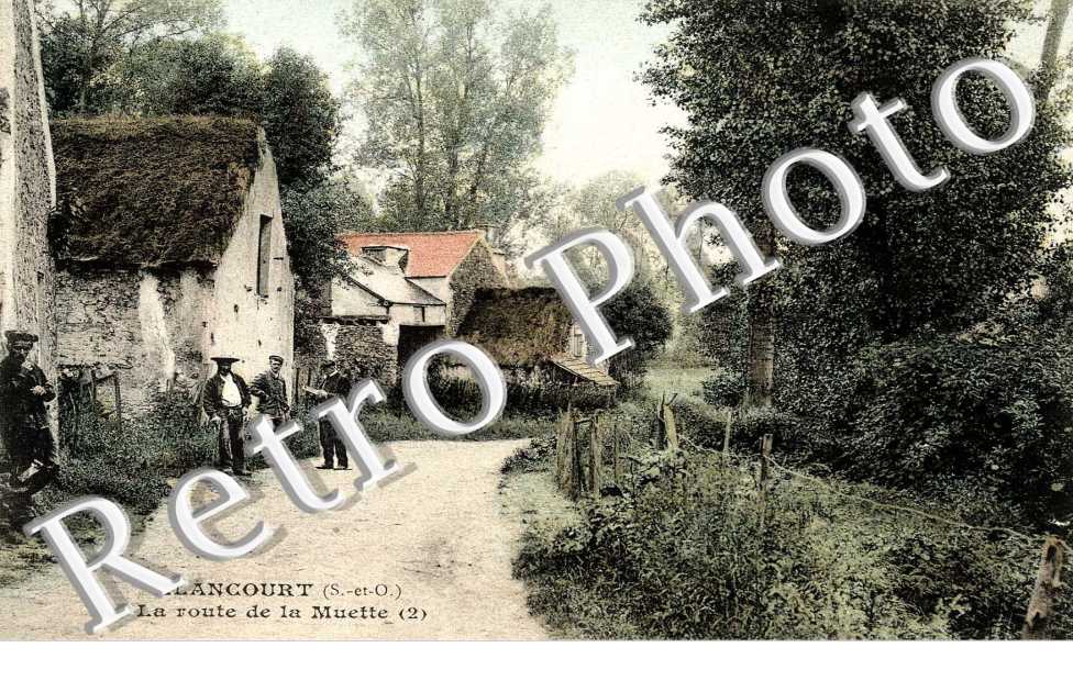 la route de la Muette