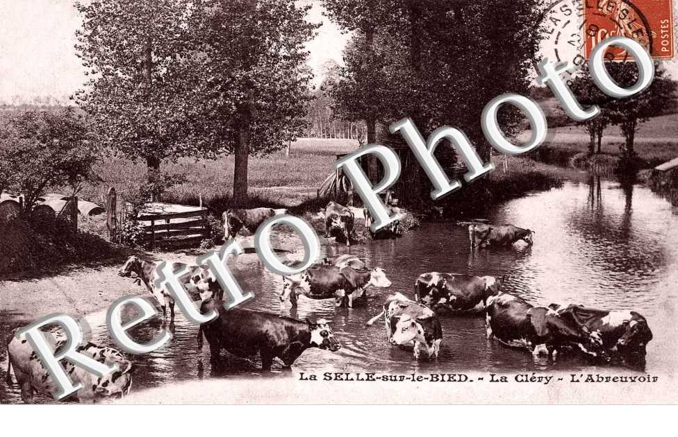 la clery - l'abreuvoir