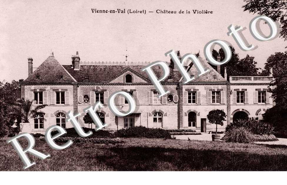 Chateau de la Violiere