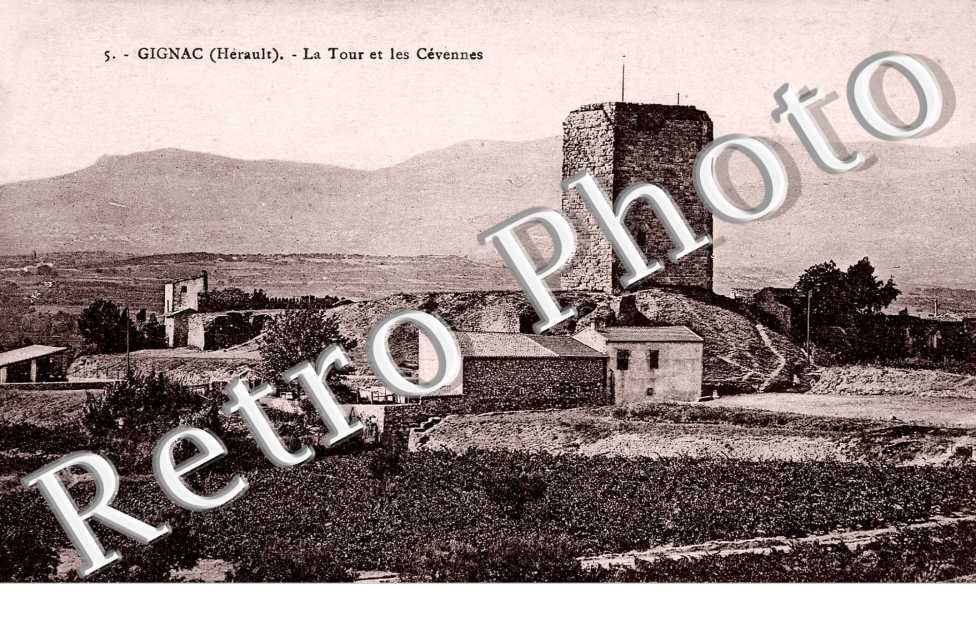 La tour et  les Cevennes