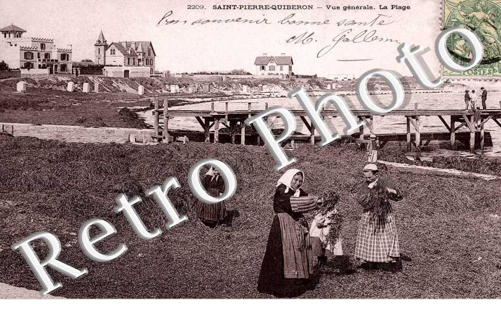VUE GENERALE LA PLAGE