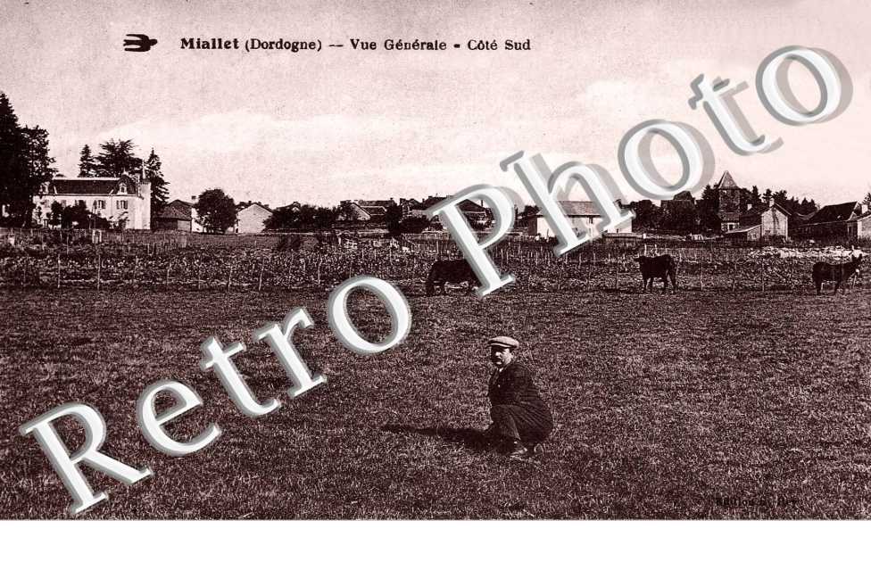 Vue generale - cote sud
