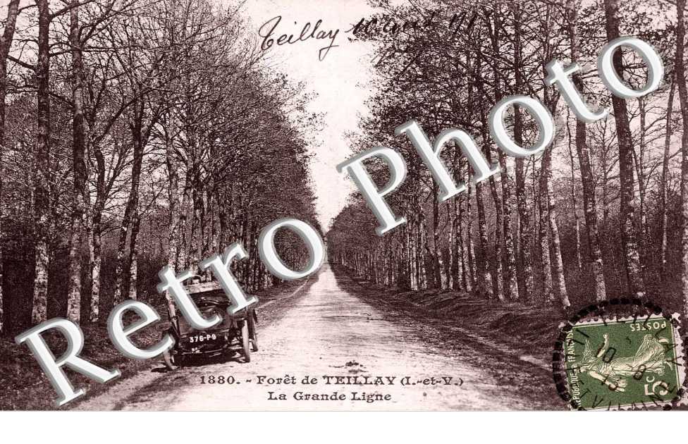 Foret - la Grande Ligne