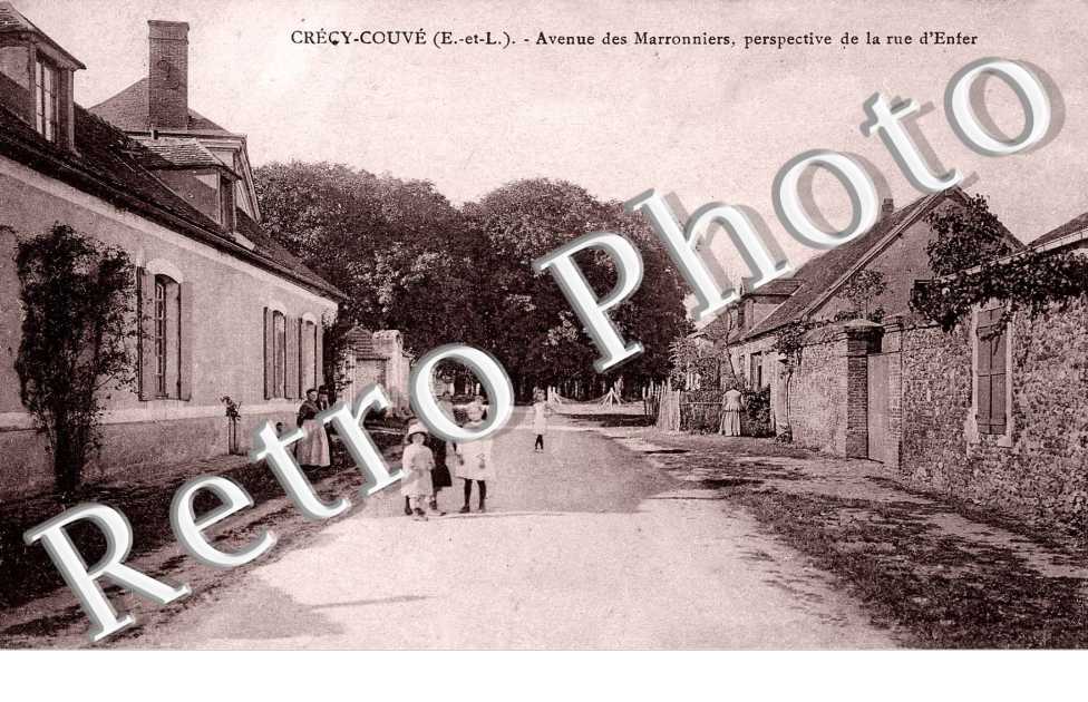 AVENUE DES MARRONNIERS