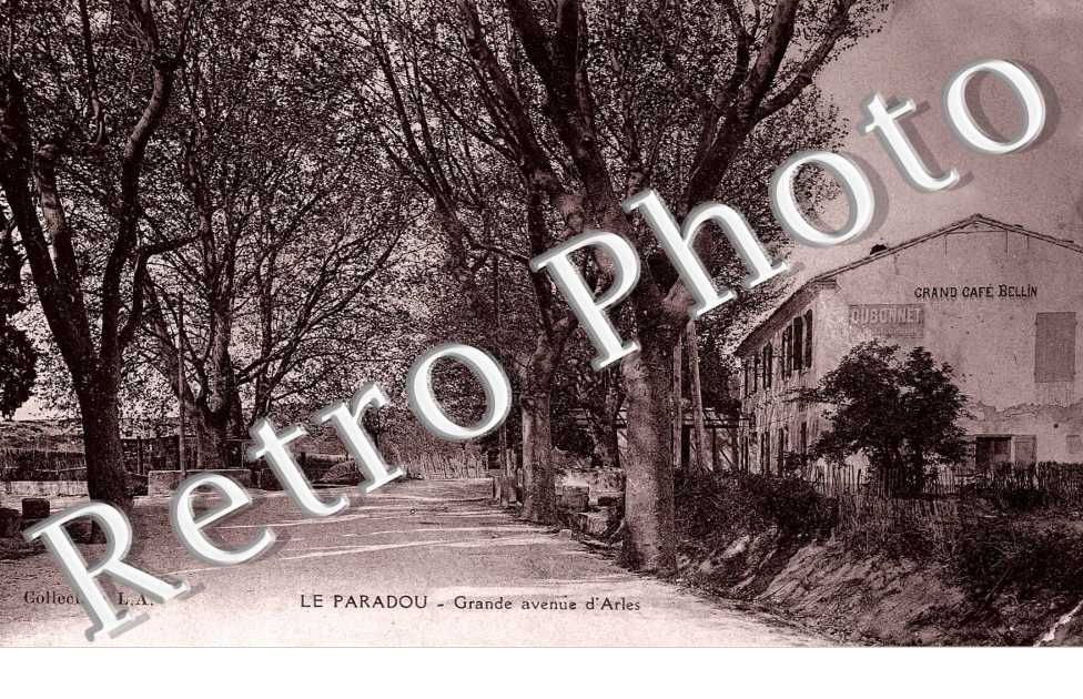 Grande Avenue d'Arles