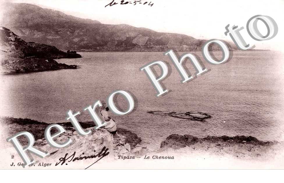 Le chenoua