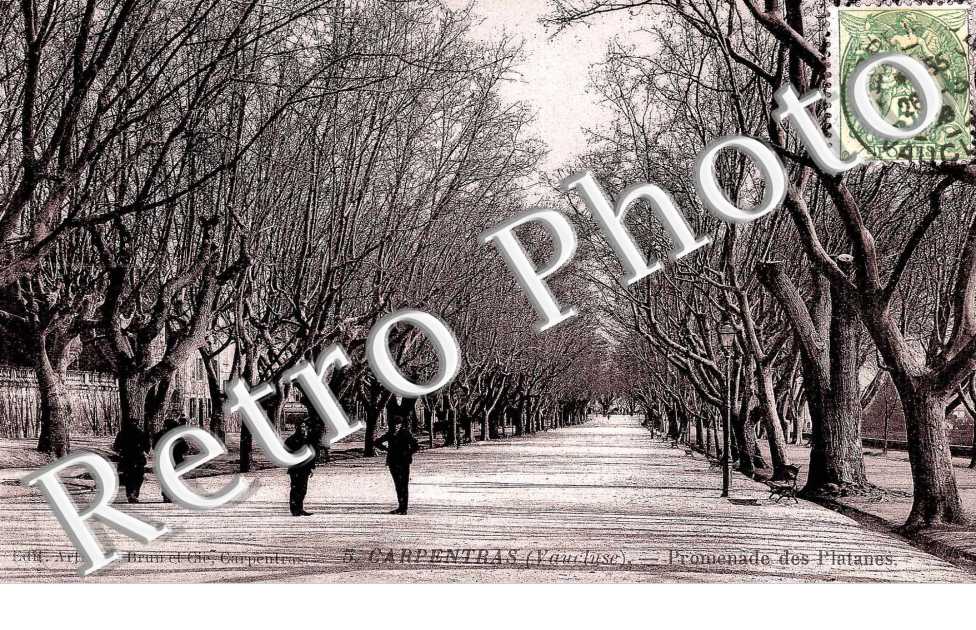 PROMENADE DES PLATANES