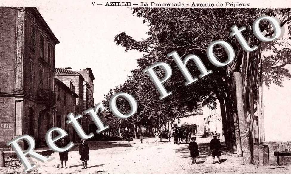La promenade  - avenue Pepieux