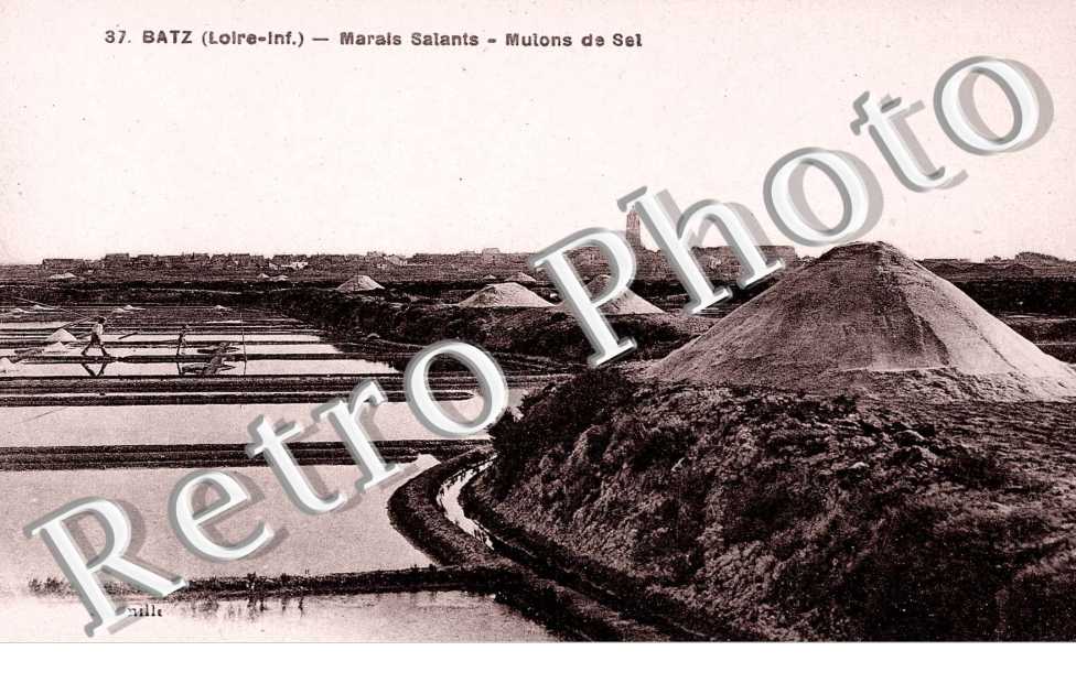 MARAIS SALANTS