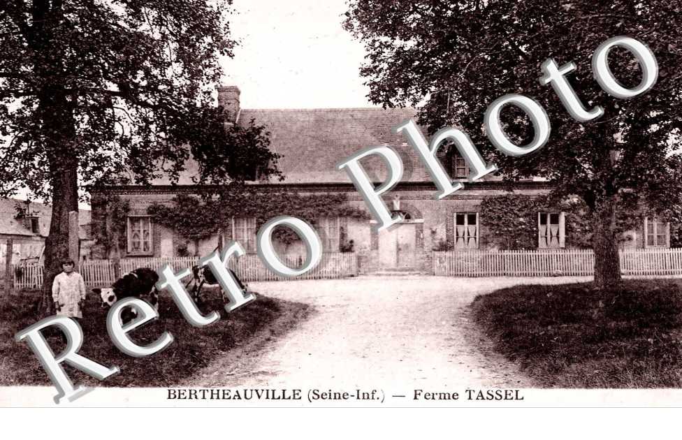ferme Tassel