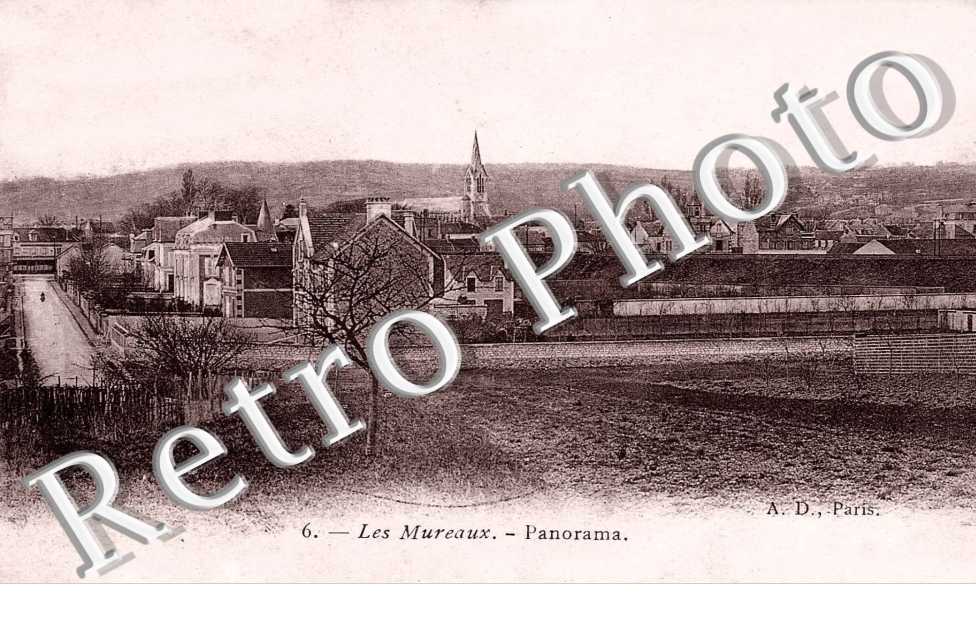 Panorama