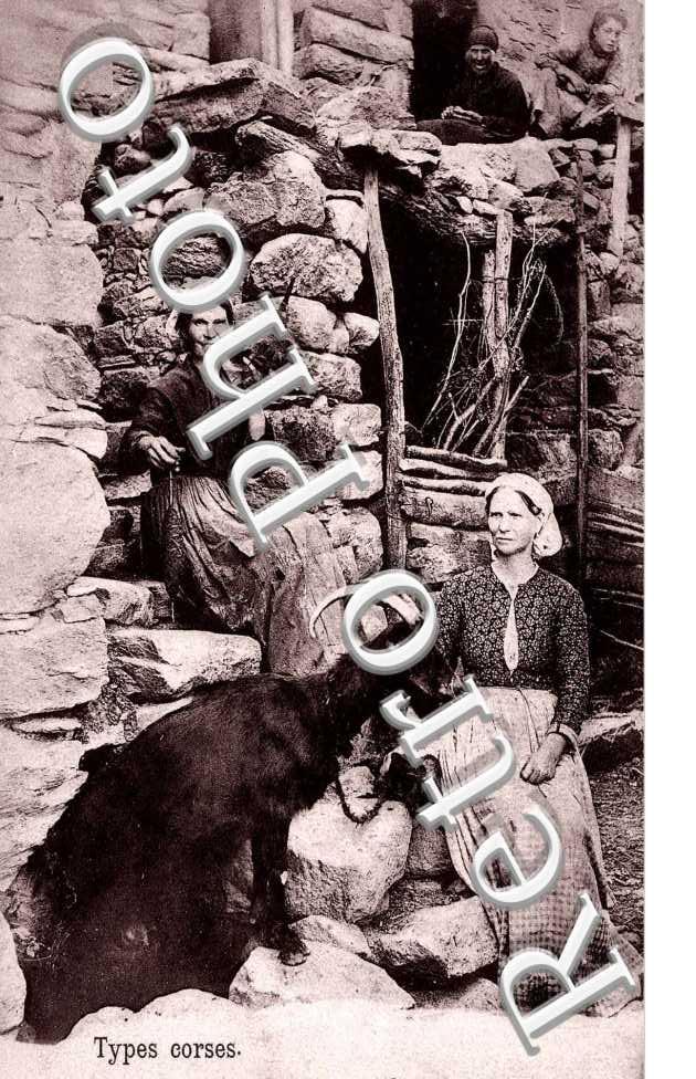 Types Corses