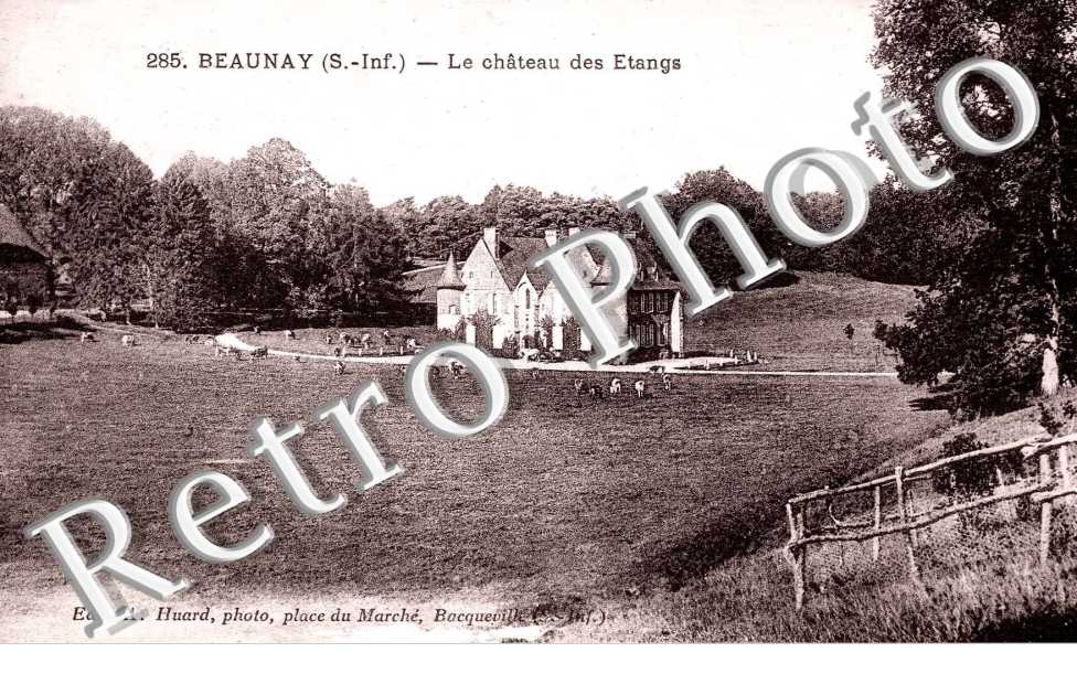 Beaunay, Le Chateau des Etangs