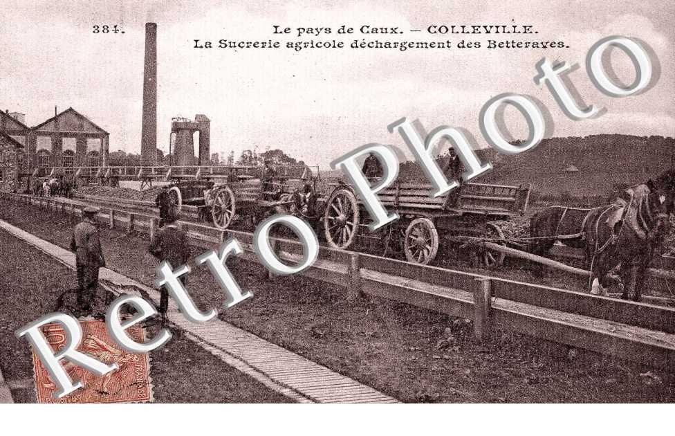 La Sucrerie Agricole - Dechargement des Betteraves