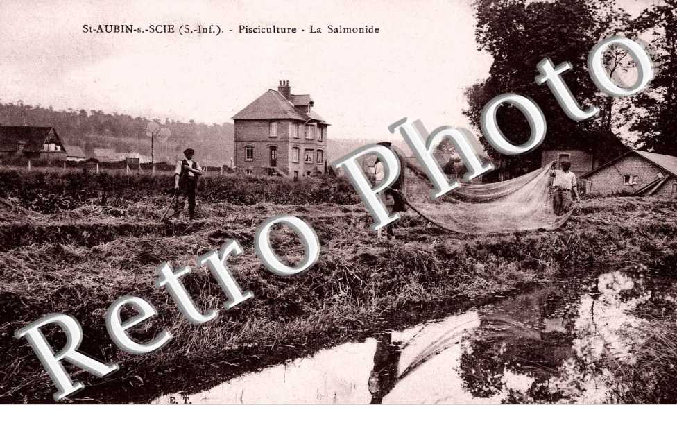 Pisciculture. La Salmonide (1914)