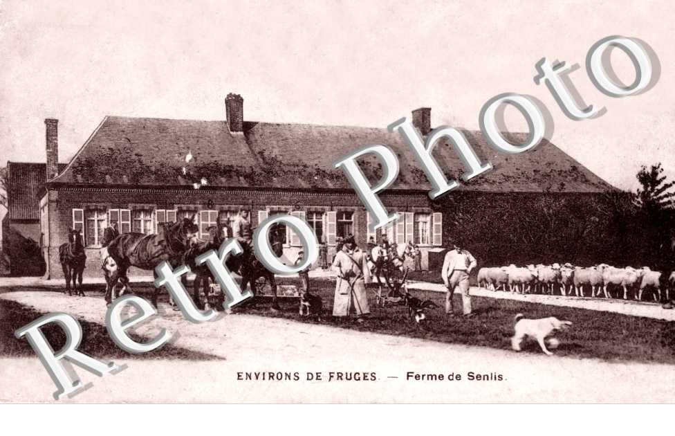 Ferme