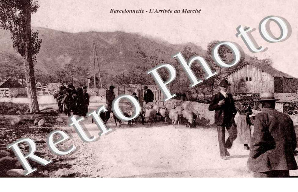 l'arrivee au marche
