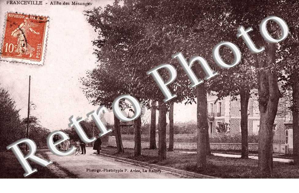 Allée des mésanges