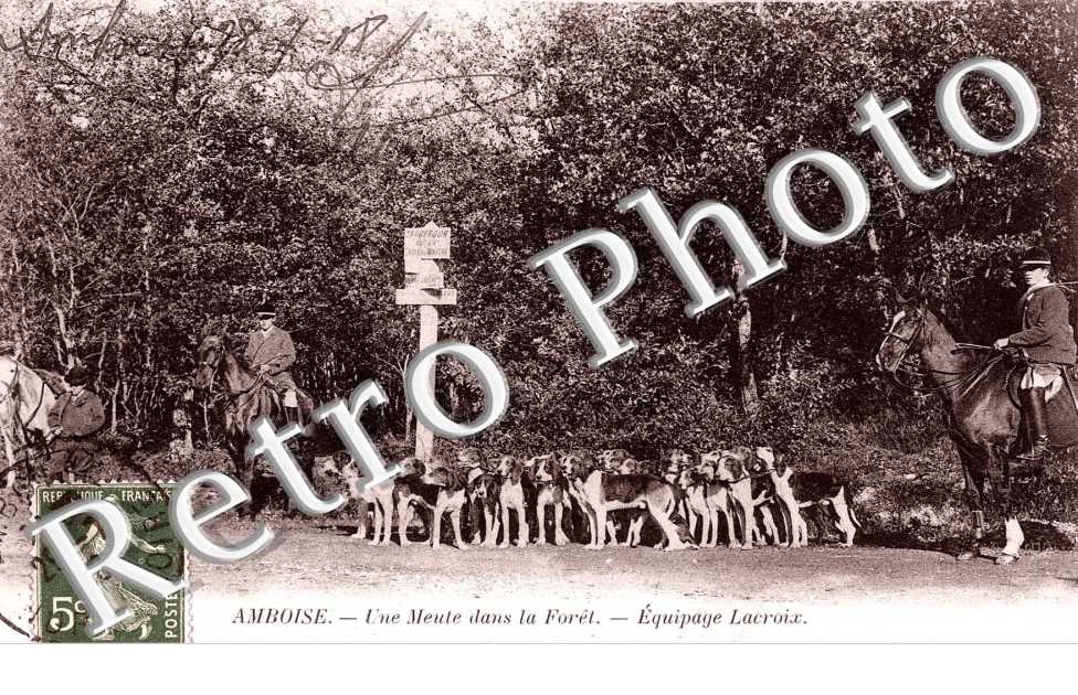 une meute dans la foret, equipage lacroix