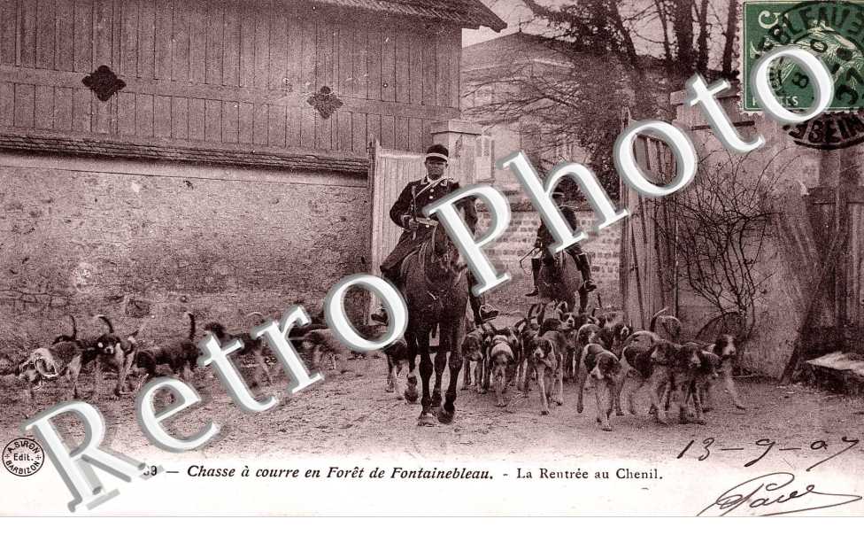Chasse a courre en foret - La rentree au chenil